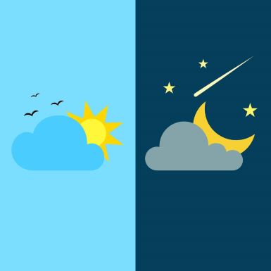day night